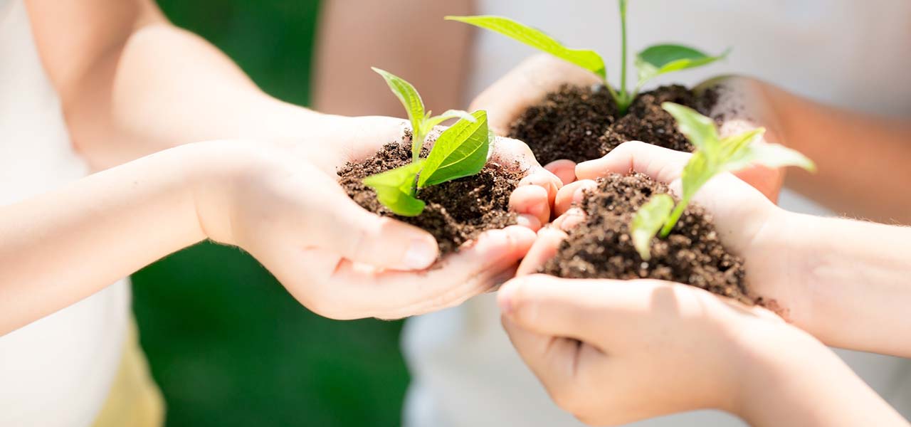 Toszkánai biogazdaságok