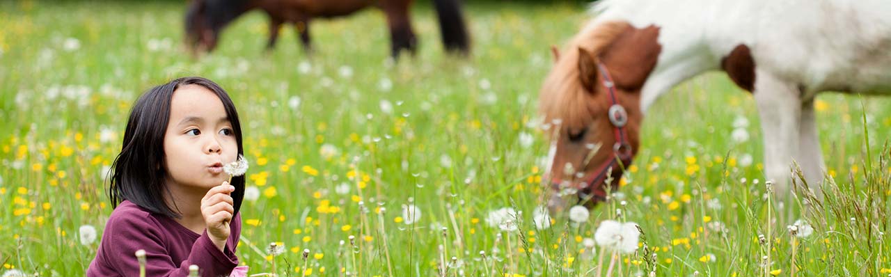 Agriturismo Lombardy az Educational Farmban
